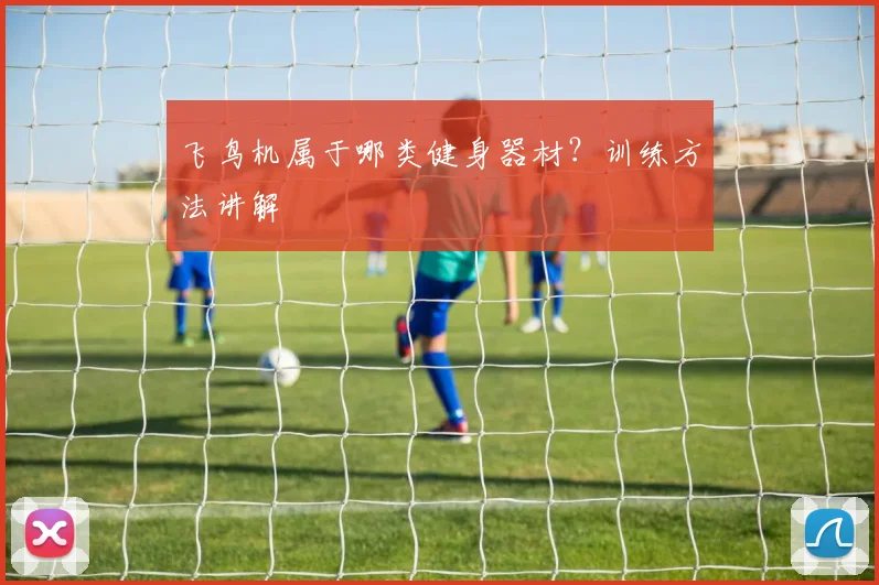 飞鸟机属于哪类健身器材？训练方法讲解