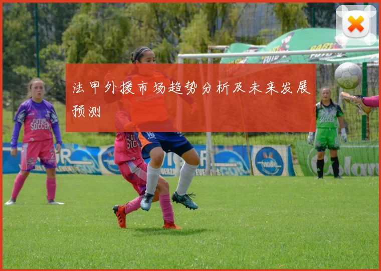 法甲外援市场趋势分析及未来发展预测